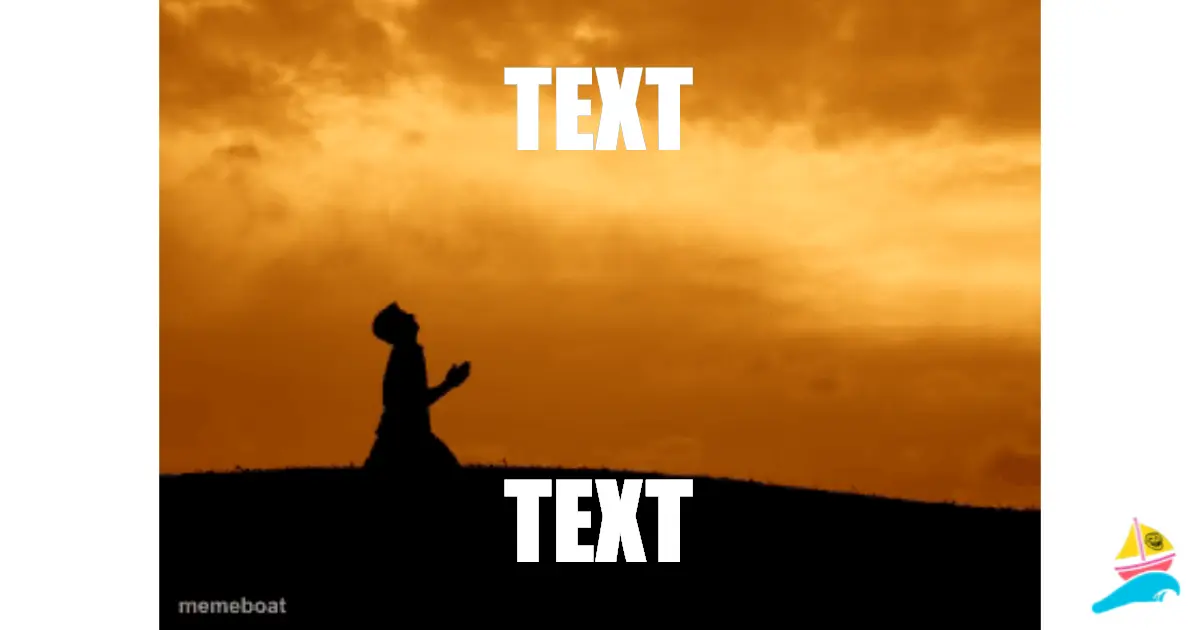 TEXT