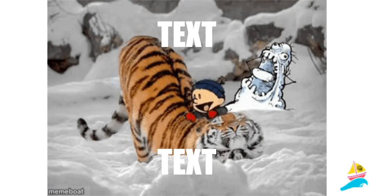 TEXT