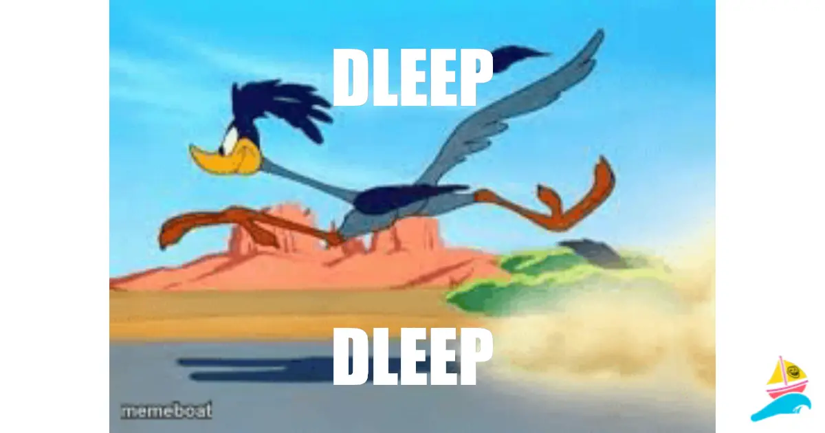 Dleep