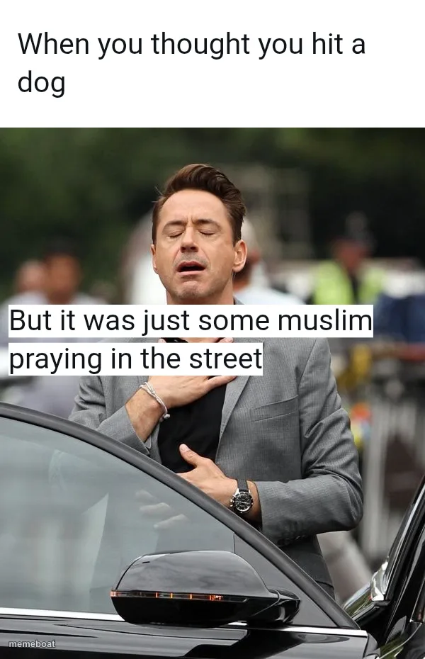 Robert Downey Jr meme created by the community