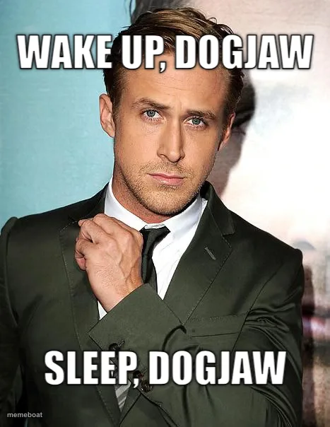 Wake up, DogJaw