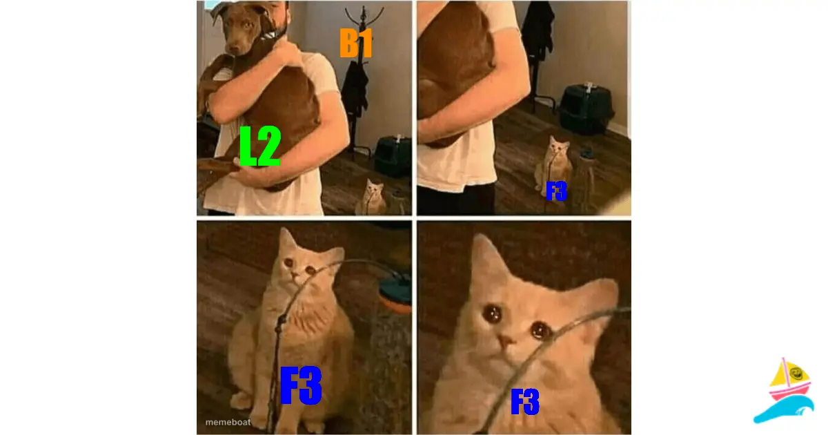 B1