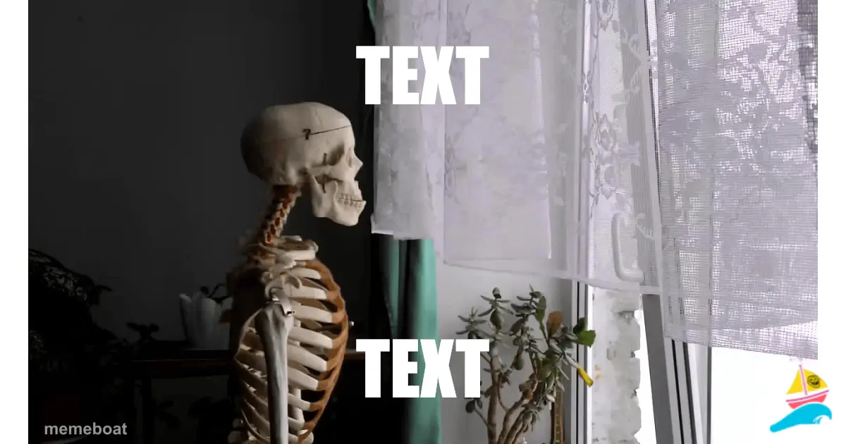 TEXT