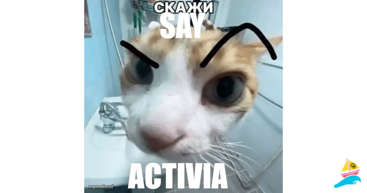Say