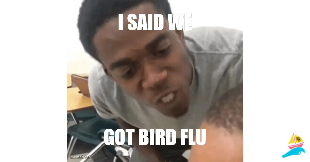 I SAID WE