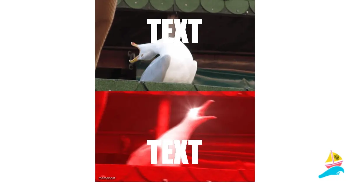 TEXT
