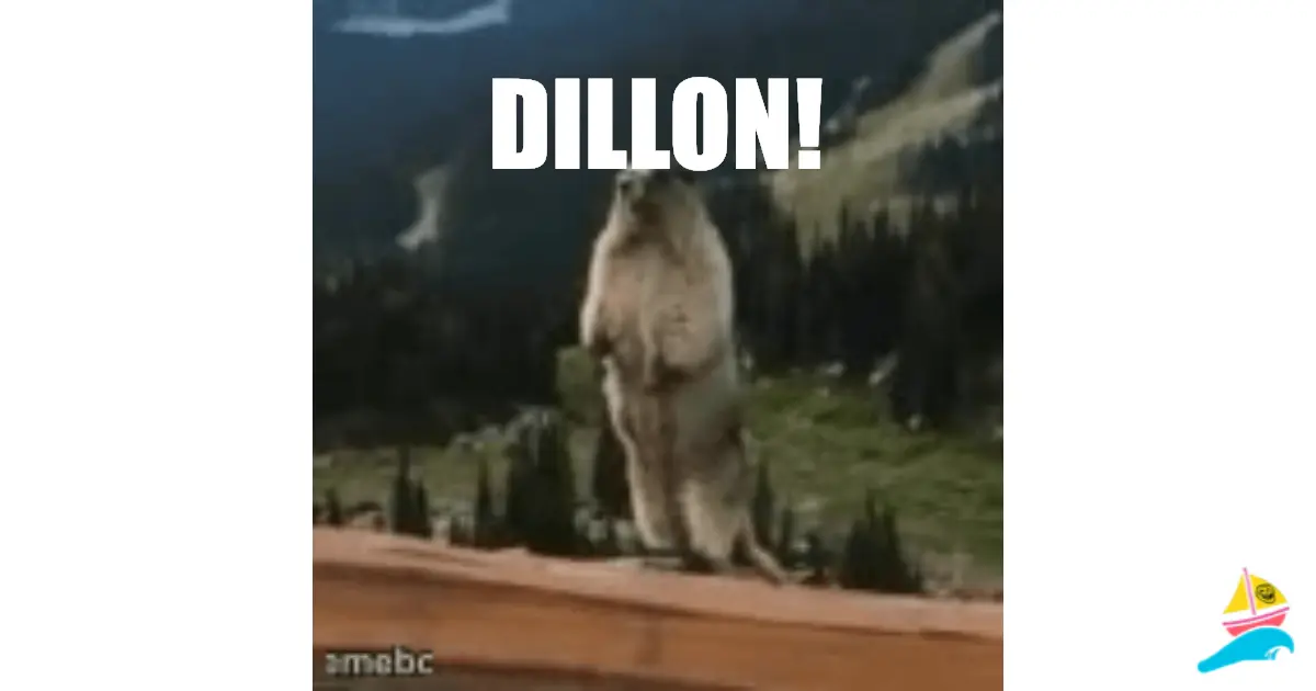 DILLON!