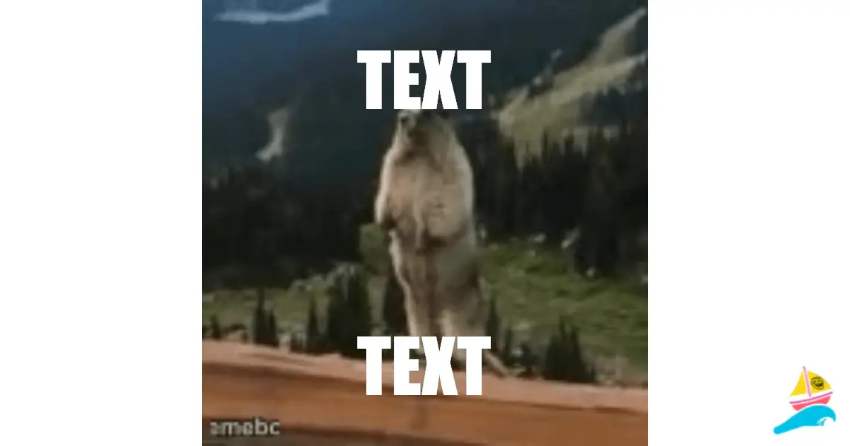 TEXT