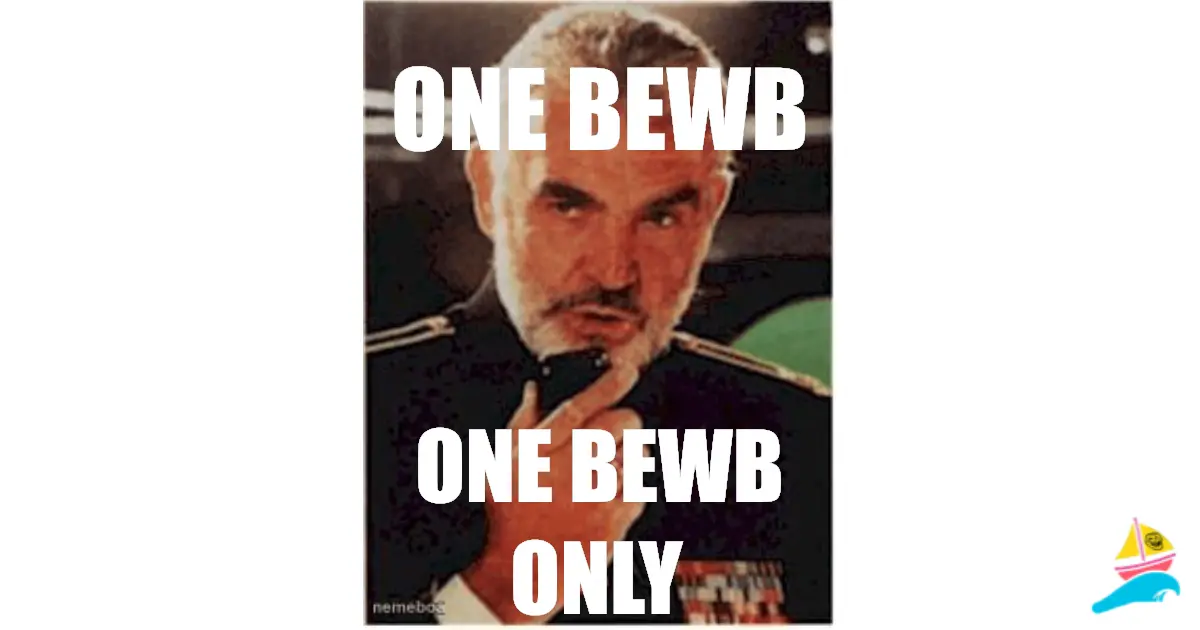 ONE BEWB