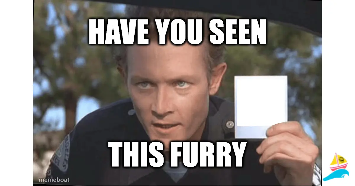 have you seen