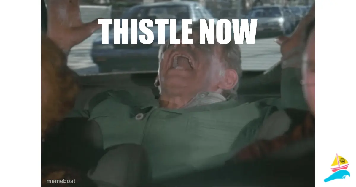 Thistle Now