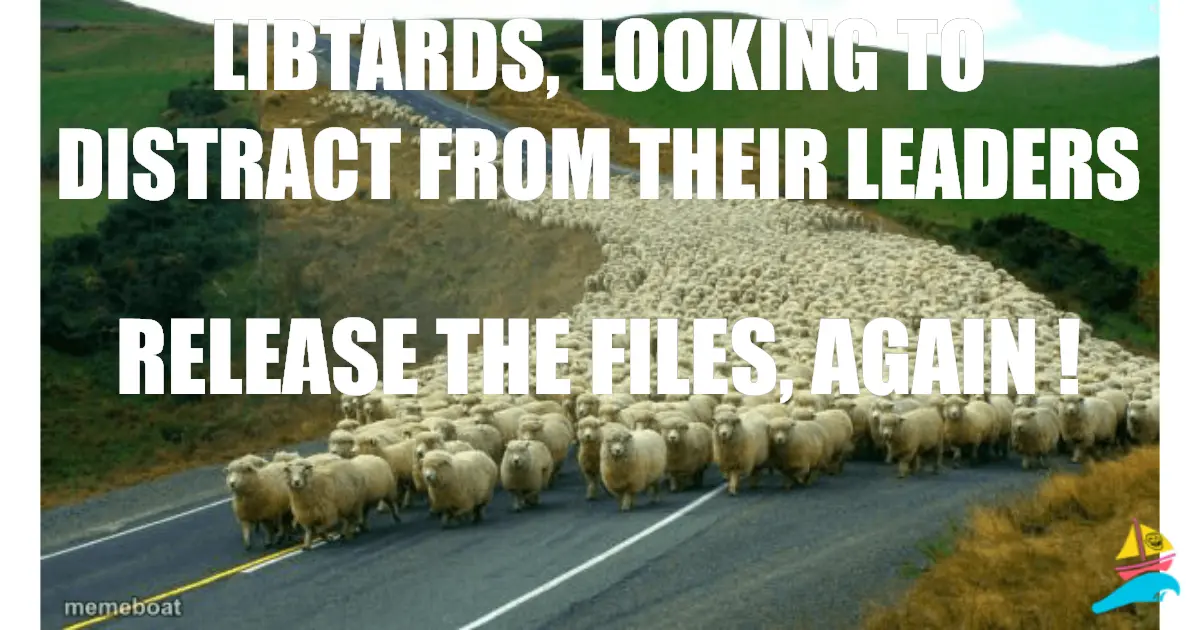 Libtards, looking to distract from their leaders