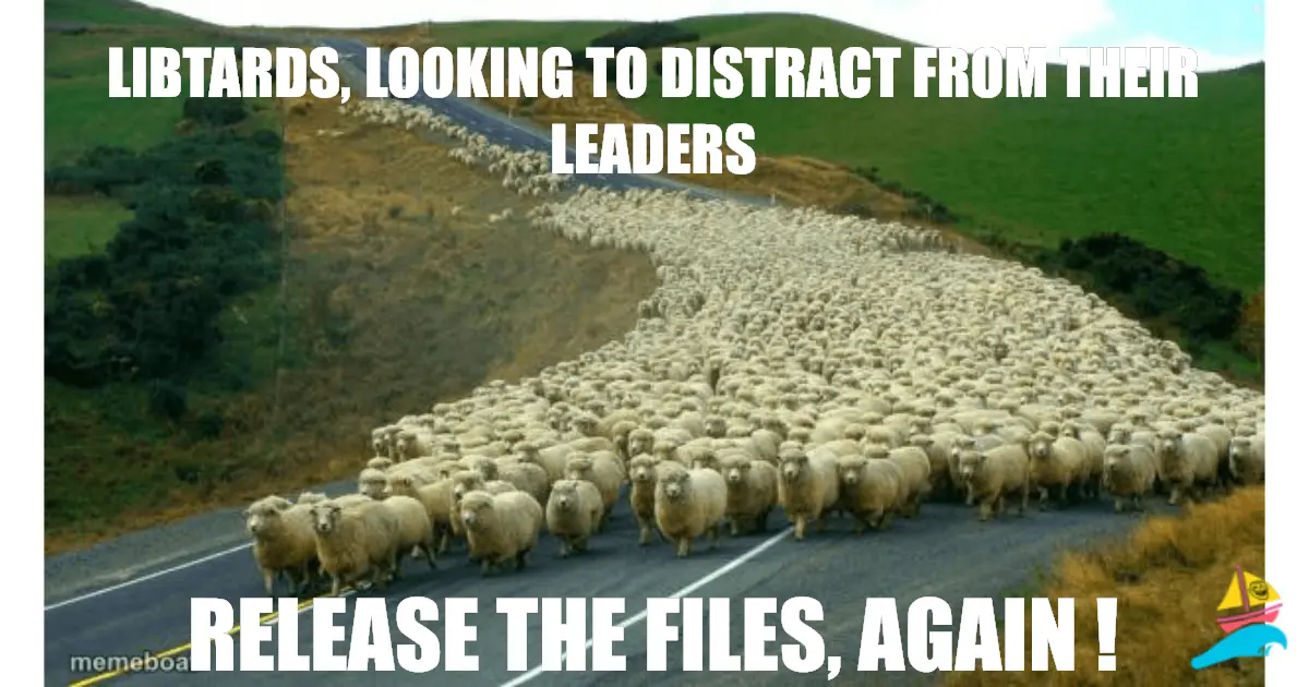 Libtards, looking to distract from their leaders