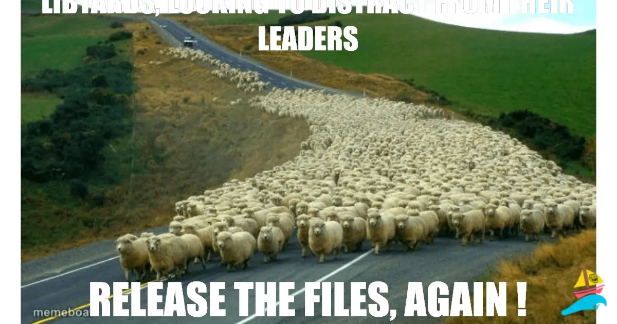 Libtards, looking to distract from their leaders