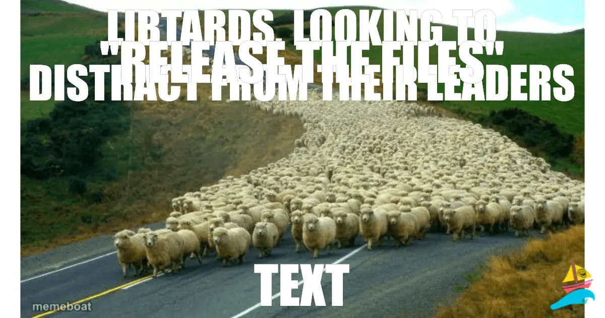 Libtards, looking to distract from their leaders