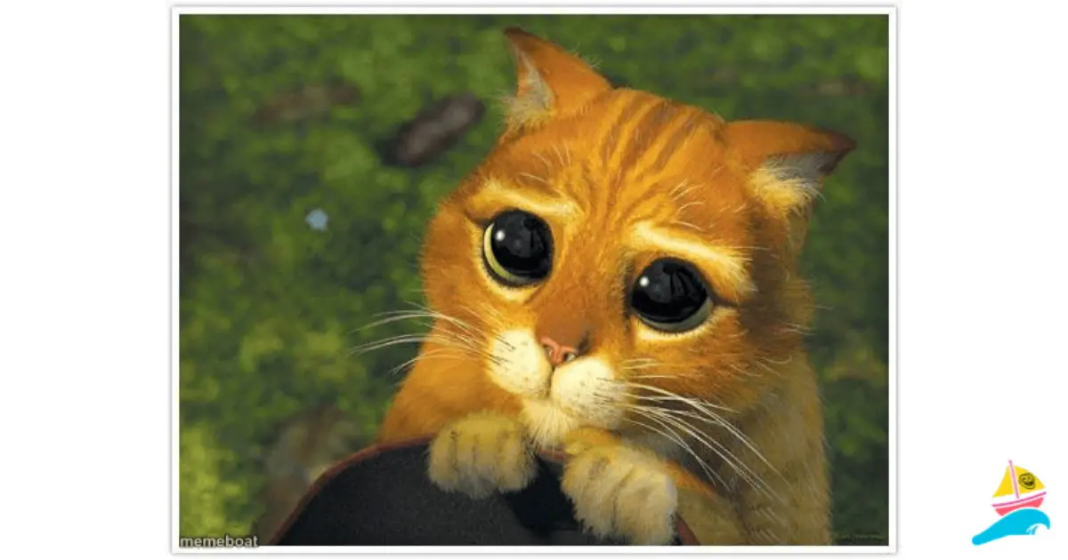 Shrek Cat meme