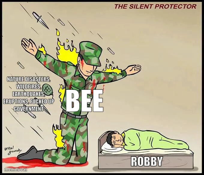 the silent protector meme created by the community