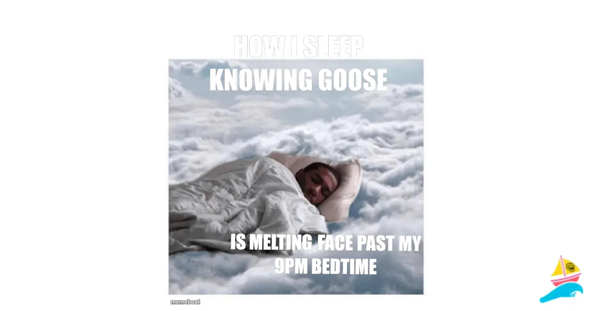 How i sleep knowing Goose