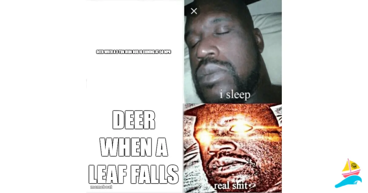 deer when a 3 ton iron bus is coming at 50 mph
