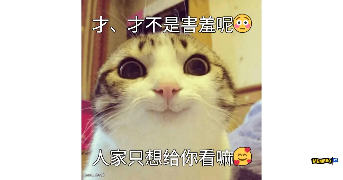 Smiling Cat meme created by the community