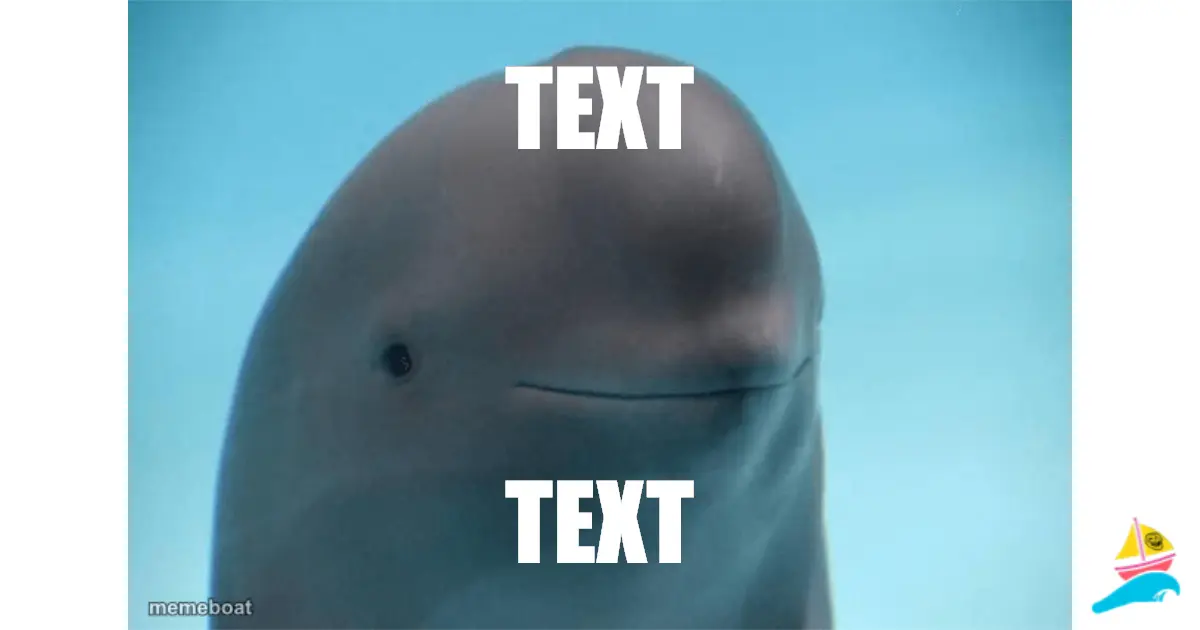 TEXT