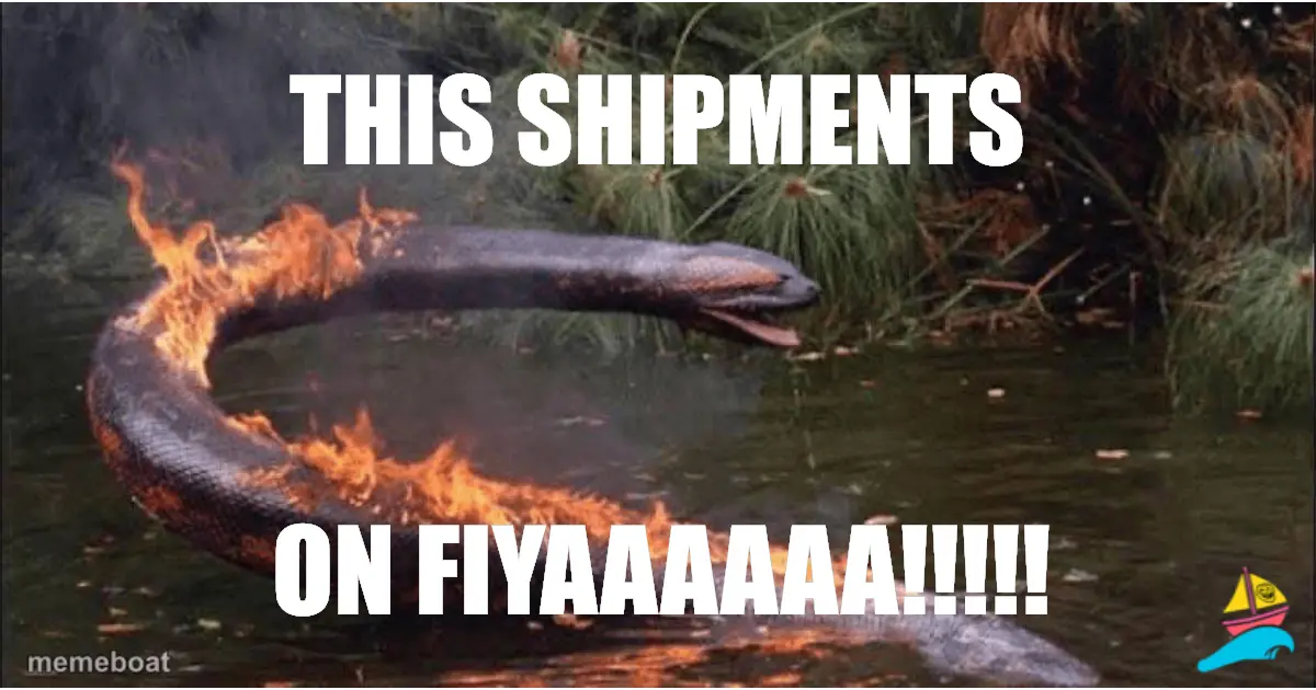 This shipments