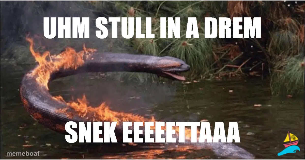 UHM STULL IN A DREM