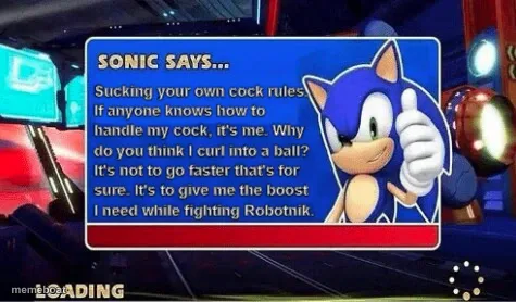 Sonic Says meme created by the community