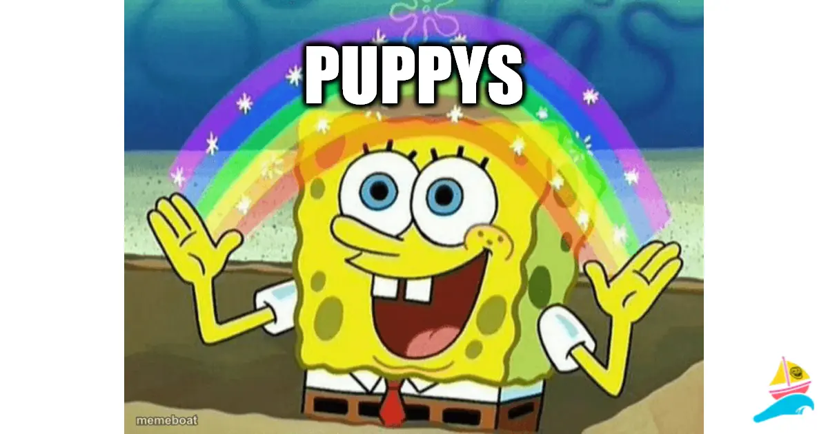 Puppys
