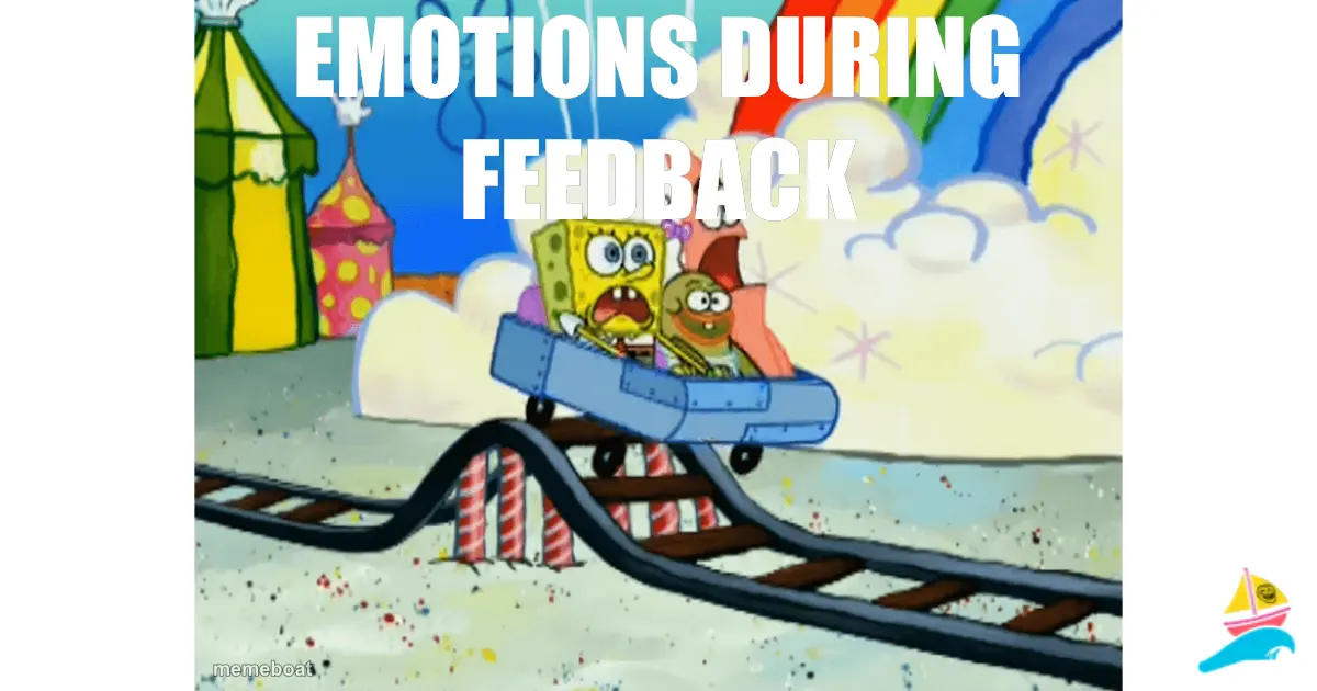 emotions during feedback