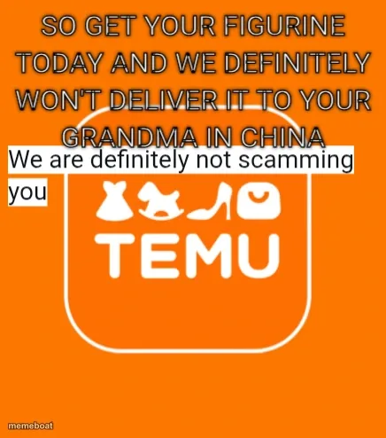 Temu meme created by the community