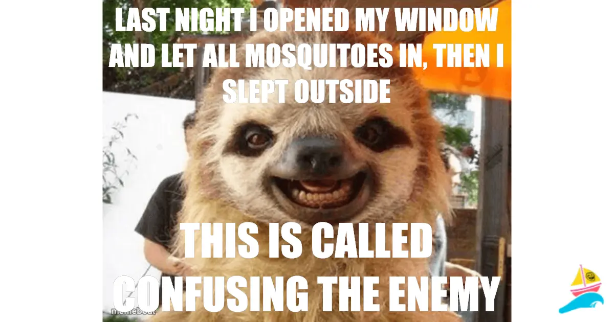 LAST NIGHT I OPENED MY WINDOW AND LET ALL MOSQUITOES IN, TH…
