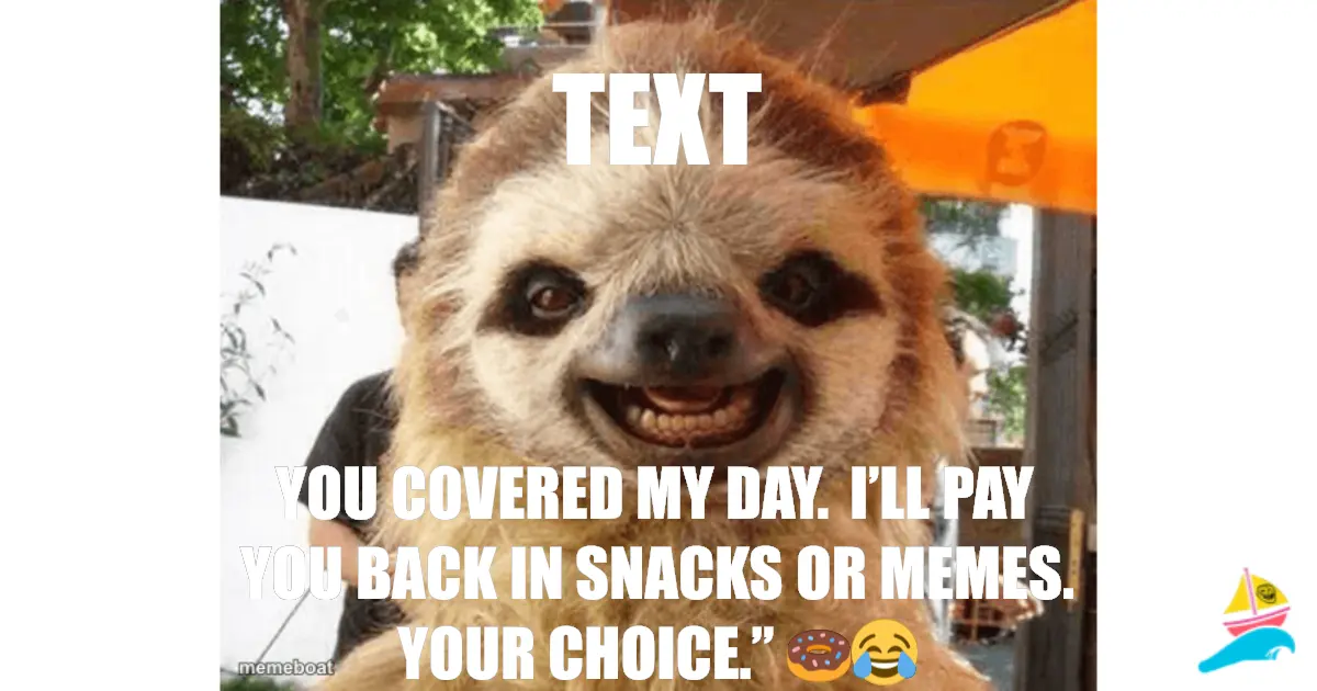 TEXT