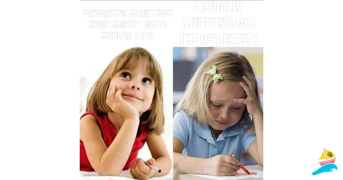 Fantasizing about how much money I could make as a CPA