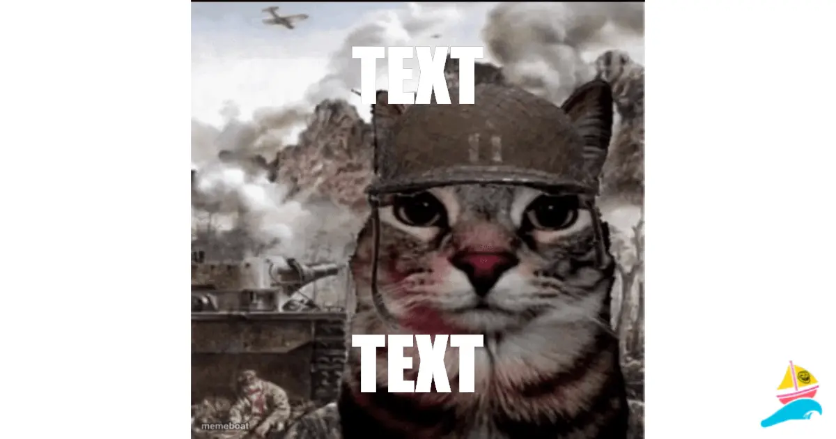 TEXT