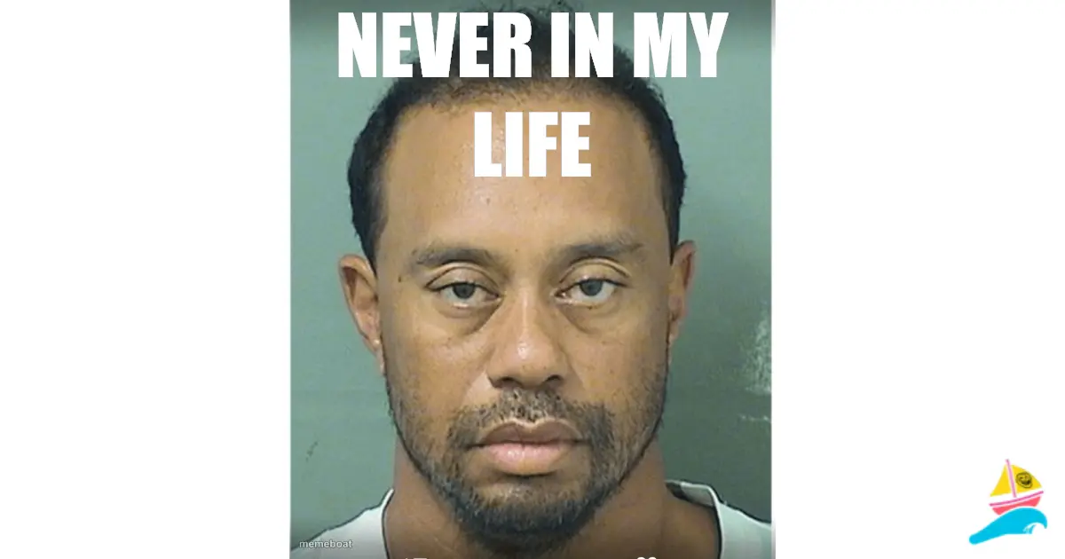NEVER IN MY LIFE
