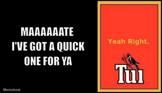 Tui billboard meme created by the community