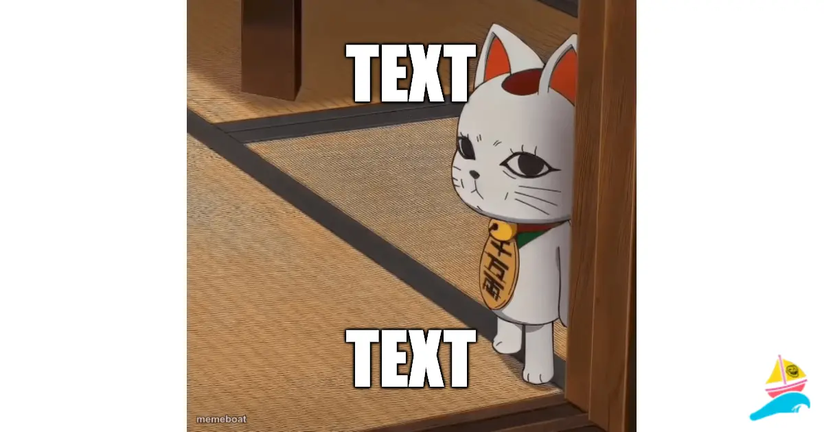 TEXT