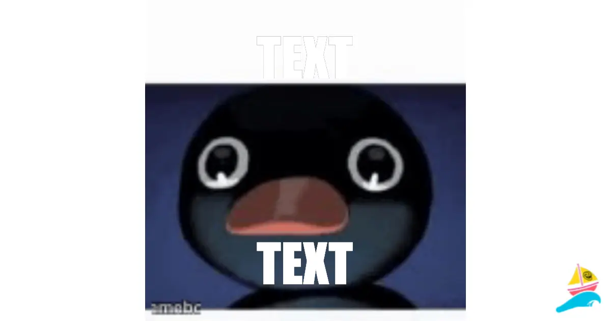 TEXT