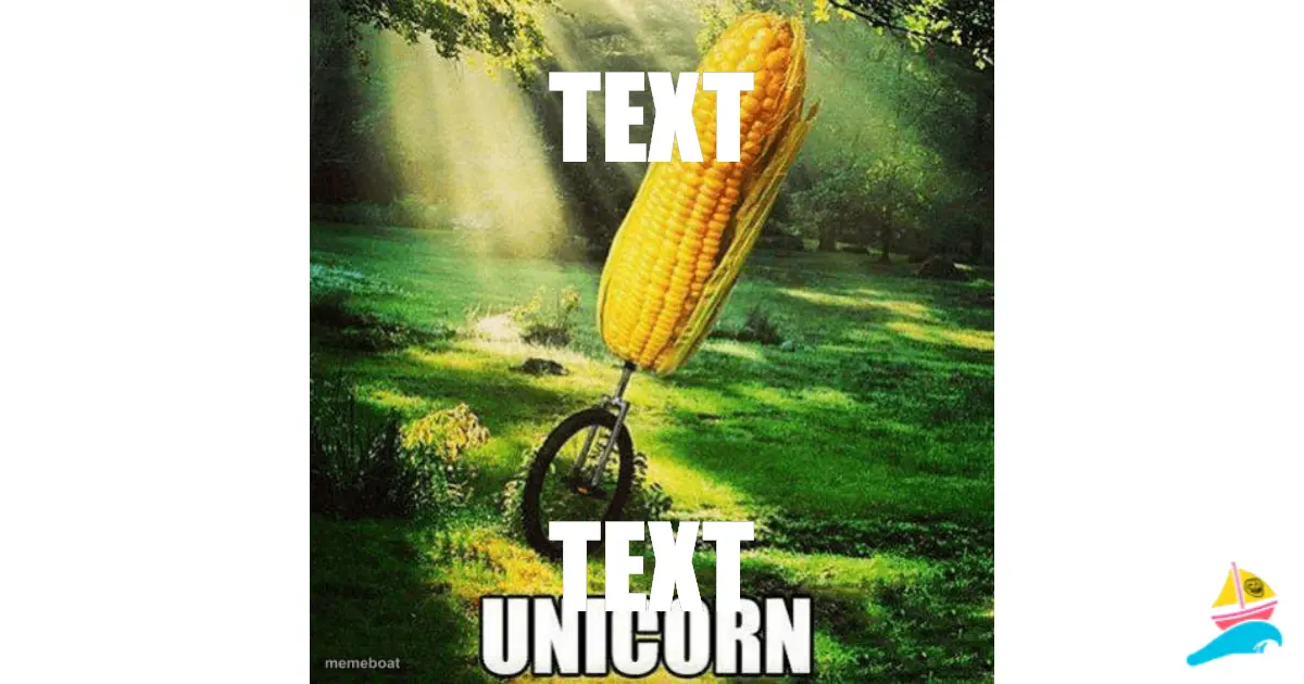 TEXT