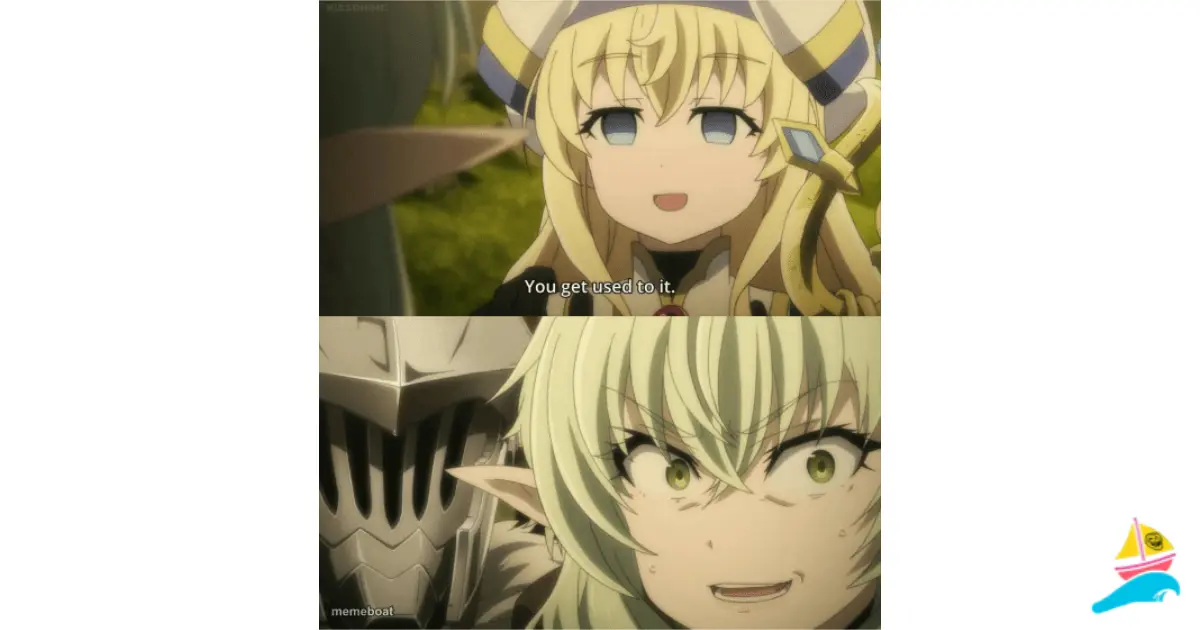 You get used to it meme