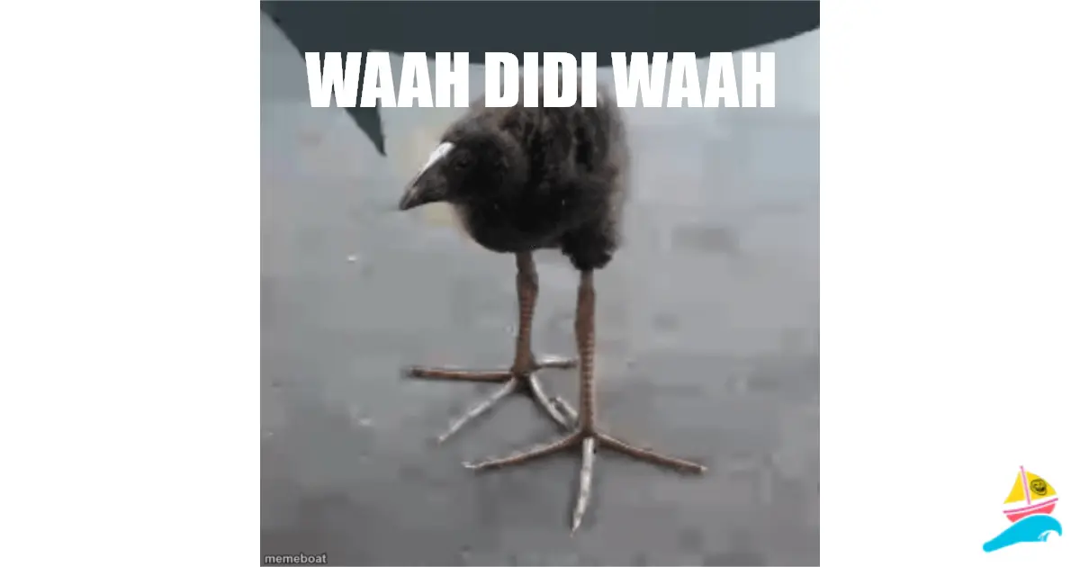 Waah Didi Waah