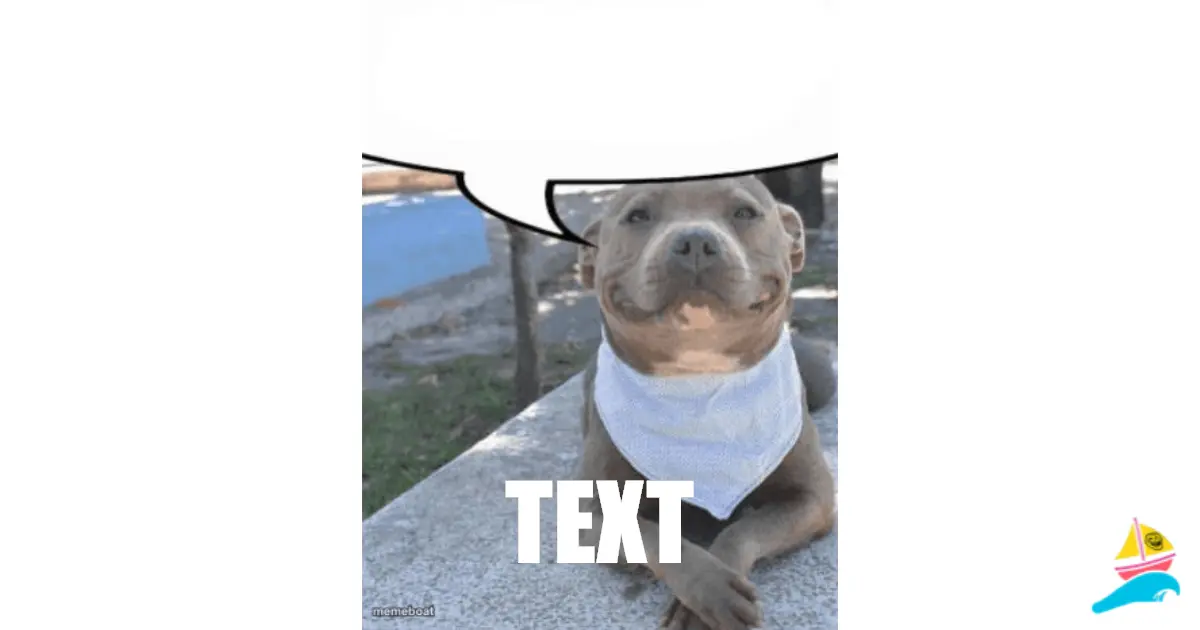 TEXT