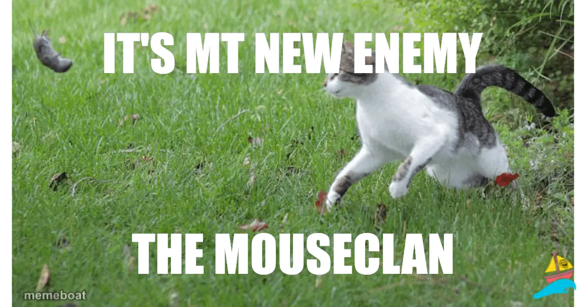 IT'S MT NEW ENEMY