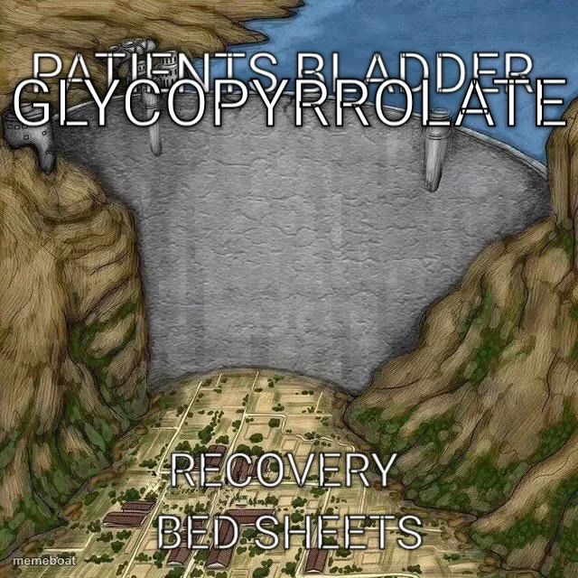 Patients Bladder