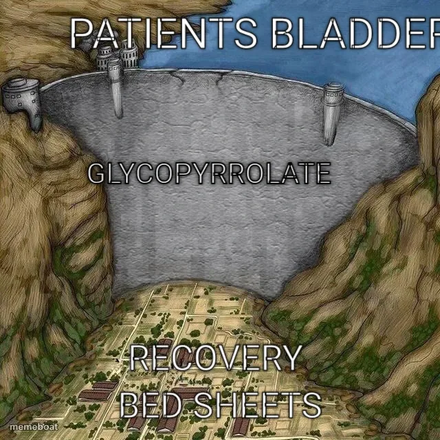 Patients Bladder