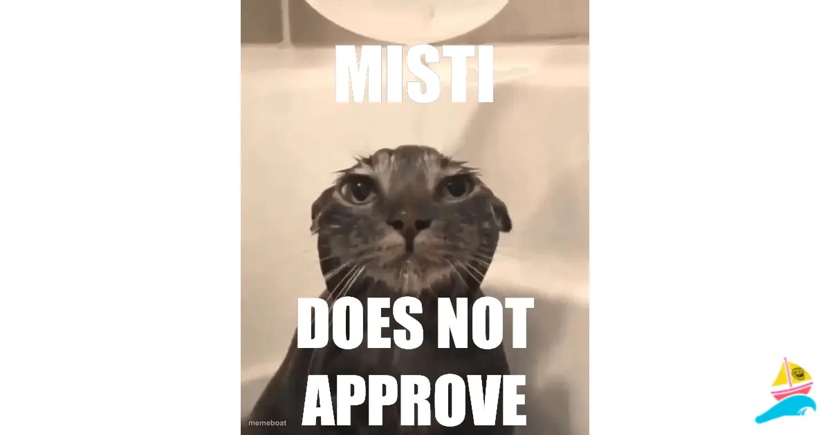 Misti