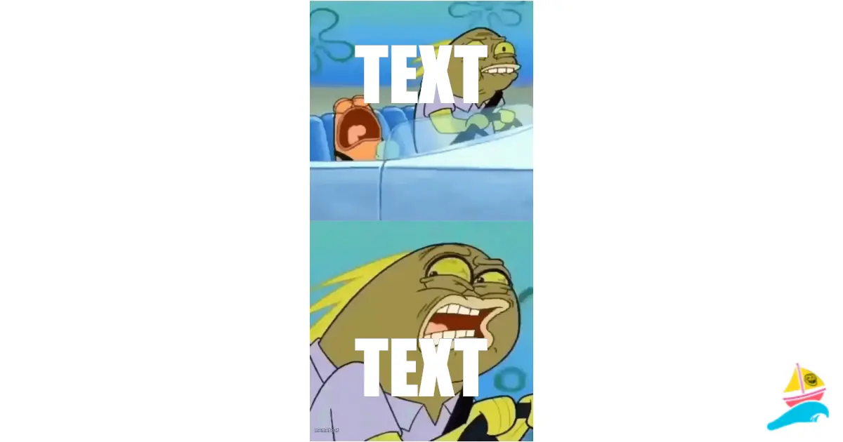 TEXT