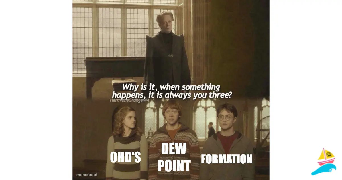 OHD's
