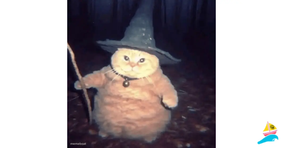 Wizard cat meme